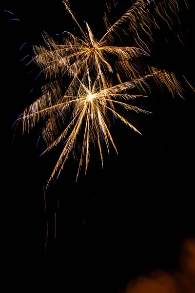 Firework night traditional — Stock Photo, Image