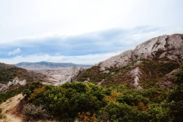 Landscape with vineyard valley — Stock Photo, Image