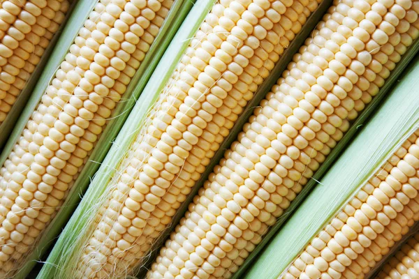 Delicious Sweet Fresh Corn Cobs Closeup — Stock Photo, Image