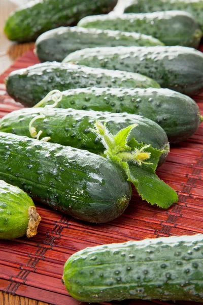 Cucumbers — Stock Photo, Image