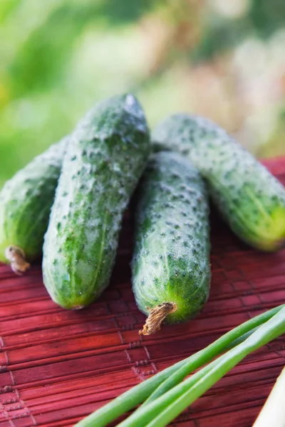 Cucumbers — Stock Photo, Image