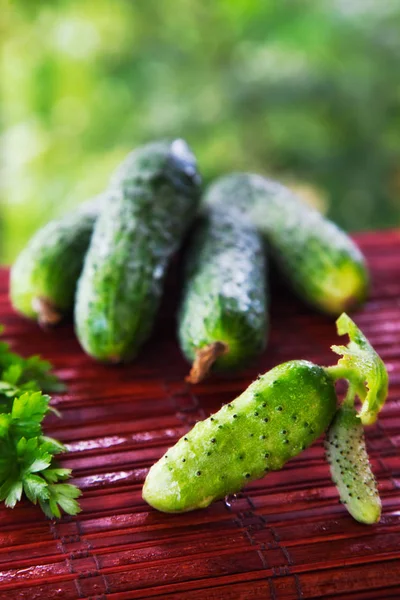 Cucumbers — Stock Photo, Image