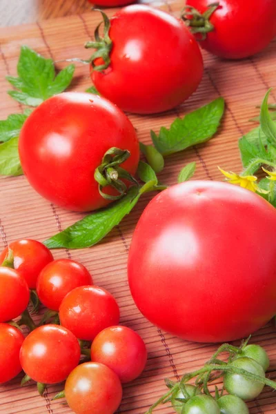 Tomates — Foto de Stock