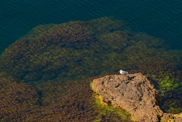 Seelandschaft — Stockfoto