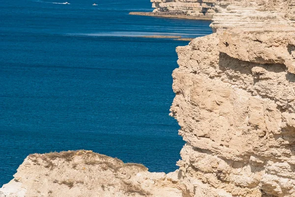 Passera di mare — Foto Stock