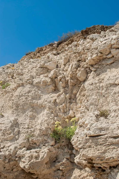 Texturierte Felsen — Stockfoto