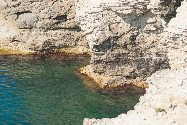 Passera di mare — Foto Stock