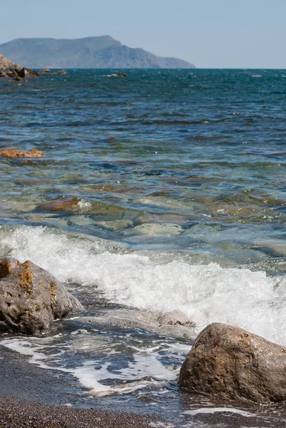 Passera di mare — Foto Stock