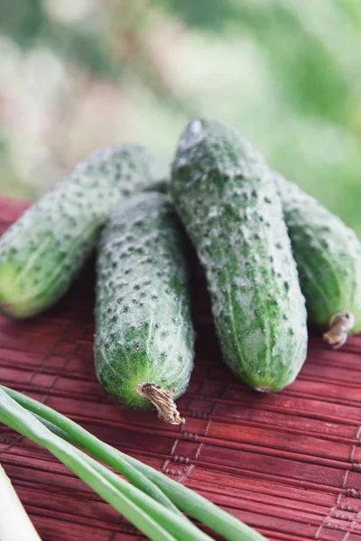 Cucumbers — Stock Photo, Image