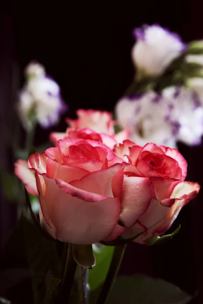 Flowers — Stock Photo, Image