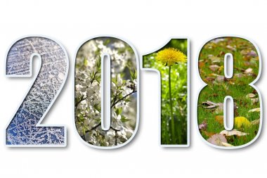 2018 yeni yıl