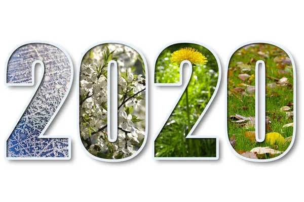 2020 yeni yıl — Stok fotoğraf