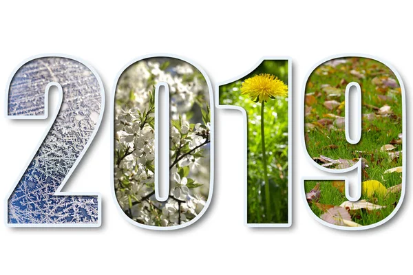 2019 nuovo anno — Foto Stock