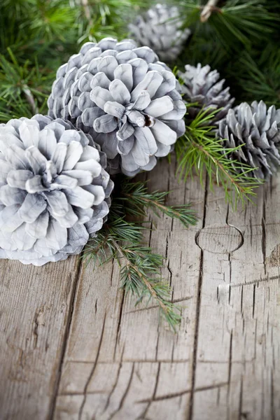 Evergreen gran gren och vit tall kottar närbild på trä — Stockfoto