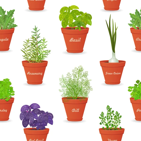 Vegetables and herbs seamless pattern — Stock Vector © Oksana 125066154