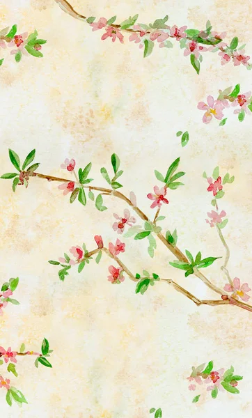 banner with almond blossom flowering twig.