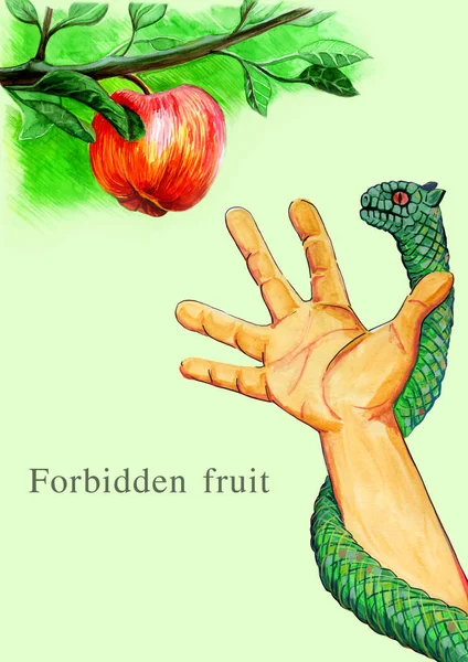 Forbidden fruit plucking — Stock Photo, Image