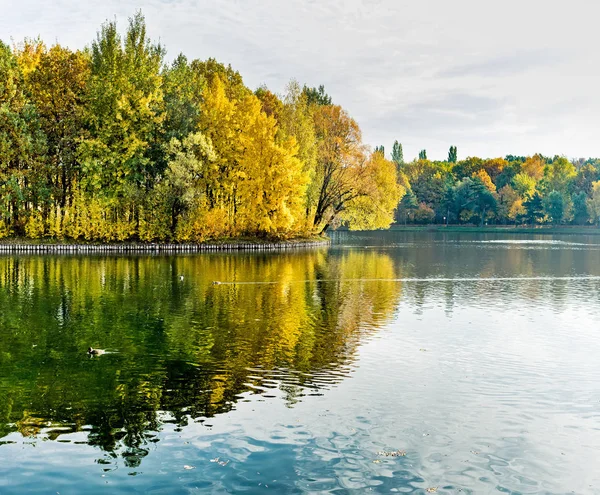 Izmailovo Park Autumn Moscow — Stock Photo, Image