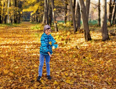 Child boy in autumn park with foliage. He throws leaves up.
