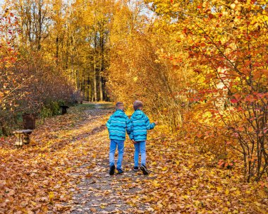 Twin boys in the park. Autumn.