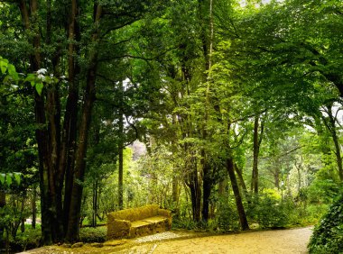 Pena Parkı, Portekiz 'in Sintra kentindeki Pena Sarayı' nı çevreleyen geniş bir orman alanıdır.