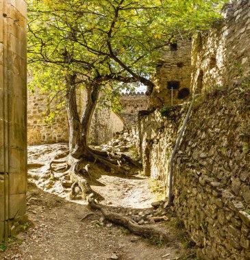 Ananuri, Gürcistan 'ın Aragvi Nehri üzerinde yer alan ve Tiflis' e 72 kilometre uzaklıkta bulunan bir kale kompleksi.. 