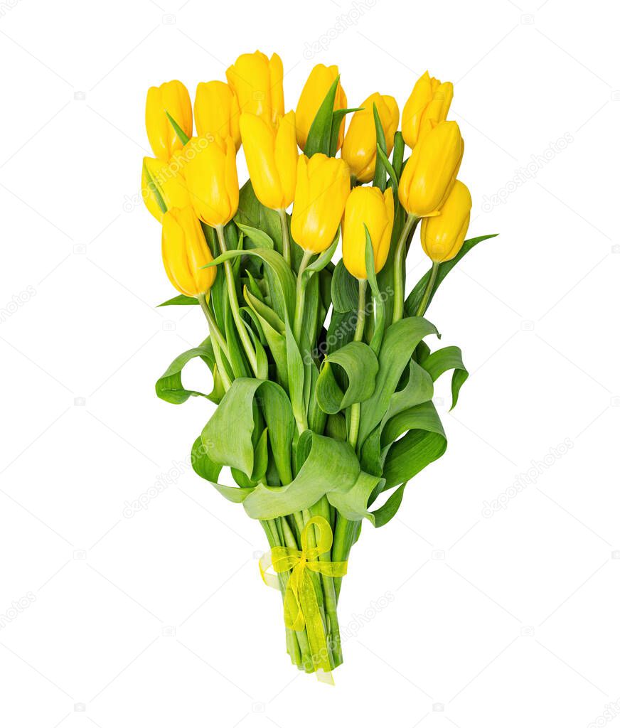 A bouquet of yellow tulips. Isolated on a white.