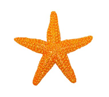 Beyaz arka planda izole edilmiş denizyıldızı oyuncağı. 