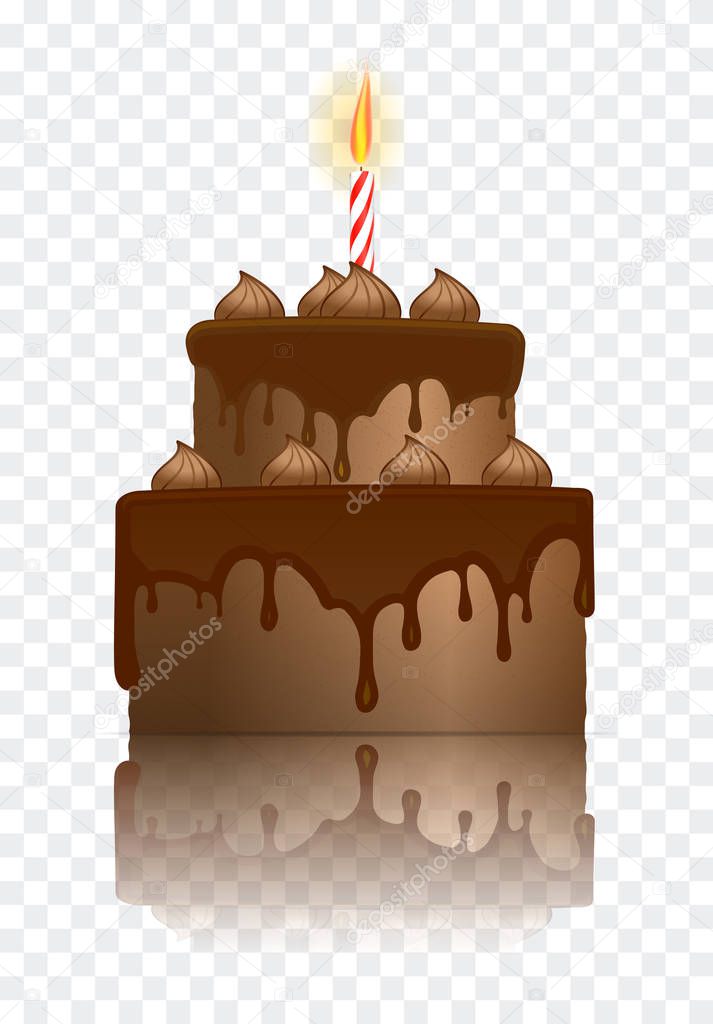 Realistic vector illustration of chocolate birthday cake with burning candle.