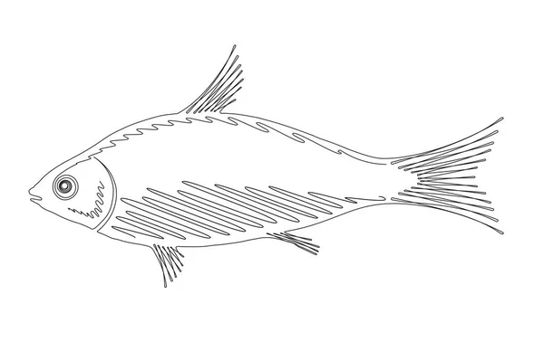 鱼的轮廓在一个连续的线条风格为您的设计 咖啡店 餐馆的招牌或标志 — 图库矢量图片
