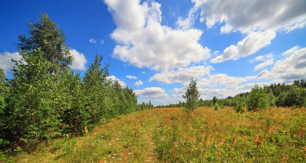 Sommar i vitryska outback — Stockfoto