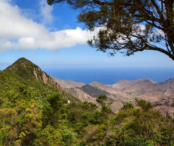 Paisaje pintoresco de valle montañoso con cielo azul (Tenerife, Can —  Fotos de Stock