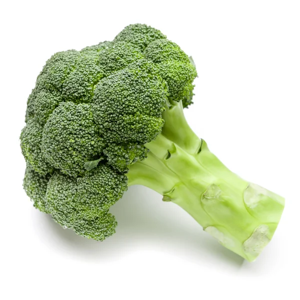 Broccoli isolati su fondo bianco — Foto Stock