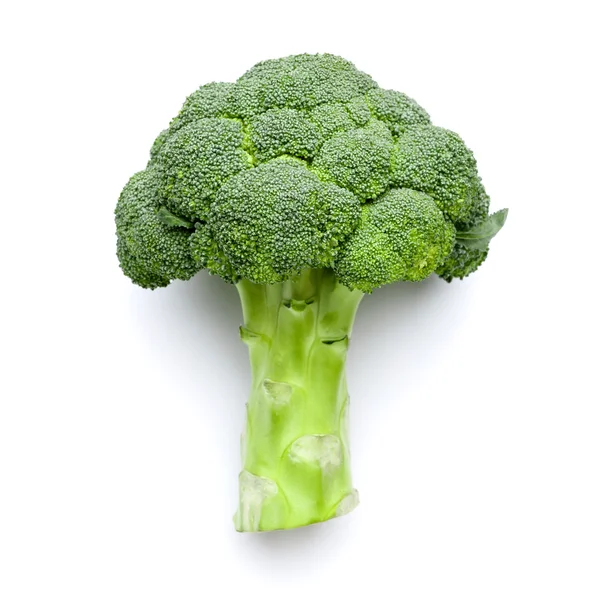 Broccoli isolated on white background — Stock Photo, Image