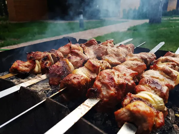 Shashlik marinados preparándose en una parrilla de barbacoa —  Fotos de Stock