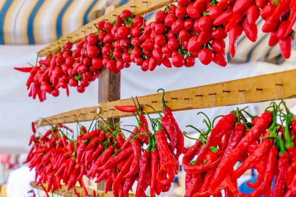 Řádky z chilli papriky zablokuje dohromady — Stock fotografie