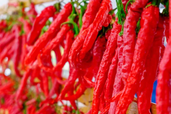 Řádky z chilli papriky zablokuje dohromady — Stock fotografie