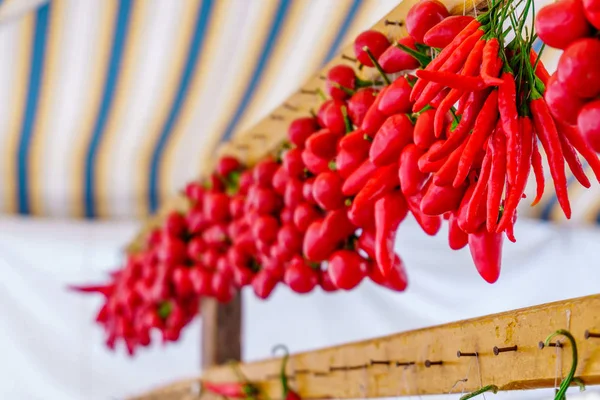 Sorok a chili paprika hang együtt — Stock Fotó