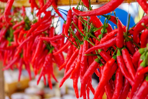 Řádky z chilli papriky zablokuje dohromady — Stock fotografie