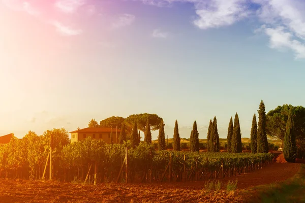 Classica veduta panoramica del paesaggio toscano — Foto Stock