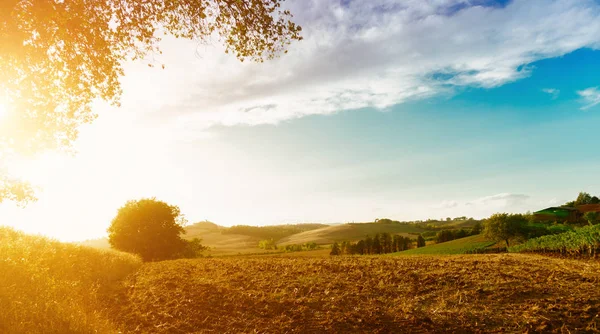 Widok klasyczny malowniczego krajobrazu Tuscany — Zdjęcie stockowe