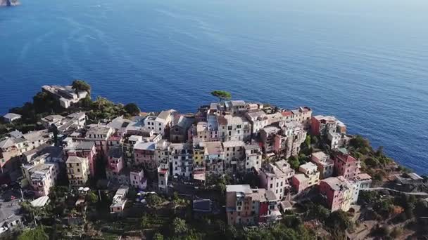 Vista aérea de Manarola en Cinque Terre Italia — Vídeos de Stock