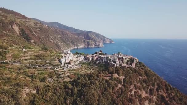 Lotu ptaka Manarola w regionie Cinque Terre, Włochy — Wideo stockowe