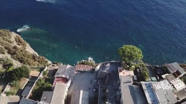 Aerial view of Manarola in Cinque Terre Italy — Stock Video