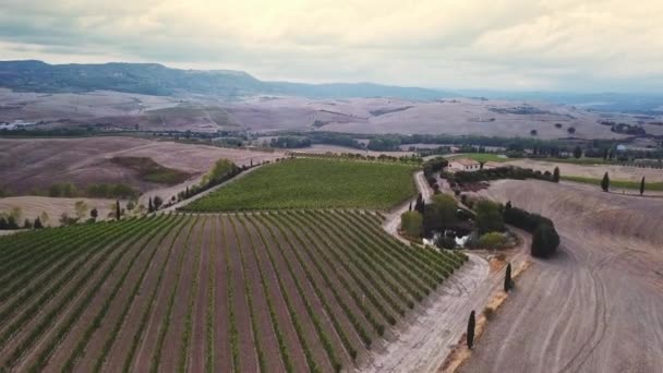 Vuelo aéreo sobre campos de Toscana — Vídeos de Stock