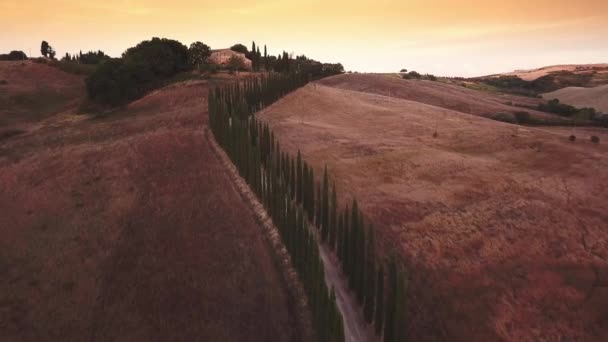 Vuelo aéreo sobre campos de Toscana — Vídeo de stock