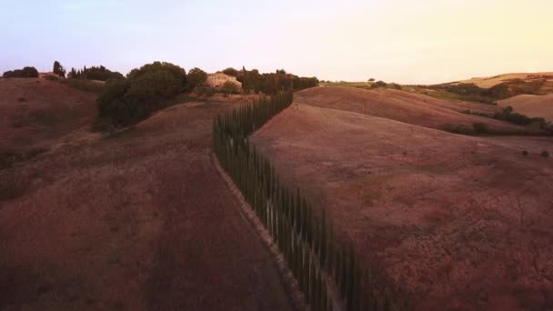 Aerial flygning över Tuscany fält — Stockvideo