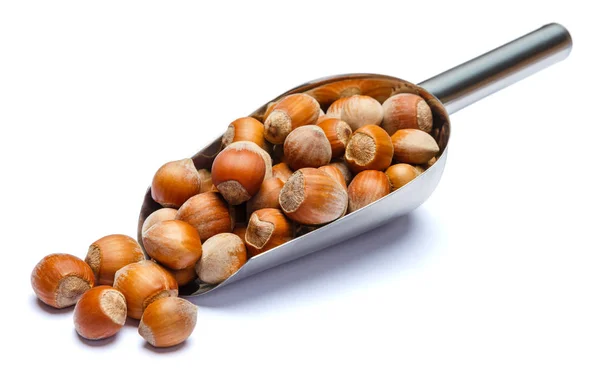 Scoop full of hazelnuts isolated on white background. Clipping path — Stock Photo, Image