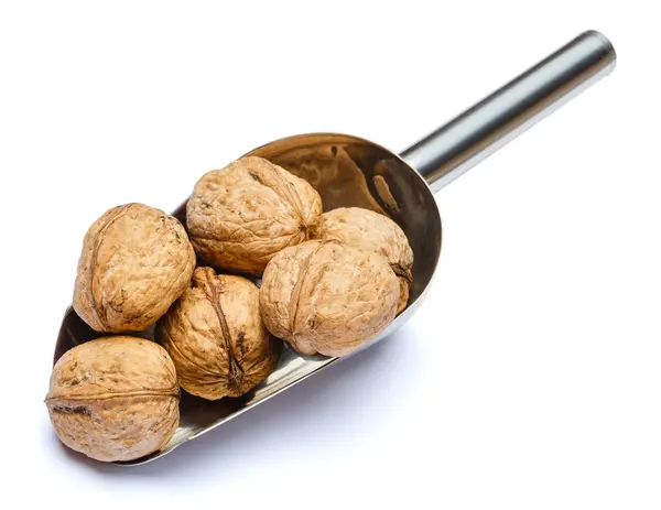 Scoop of Roasted walnuts isolated on white background. Clipping path — Stock Photo, Image