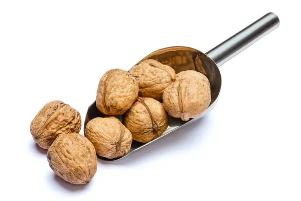 Scoop of Roasted walnuts isolated on white background. Clipping path — Stock Photo, Image